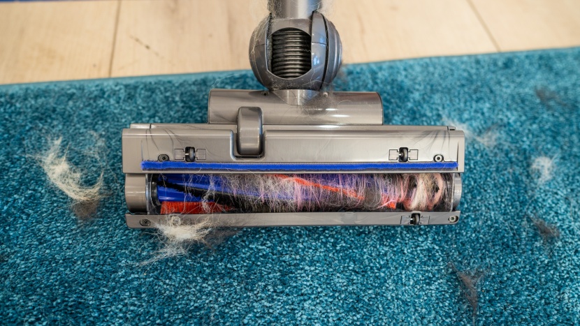 dyson big ball turbinehead - shown here is the brush roll completely overwhelmed by pet hair.
