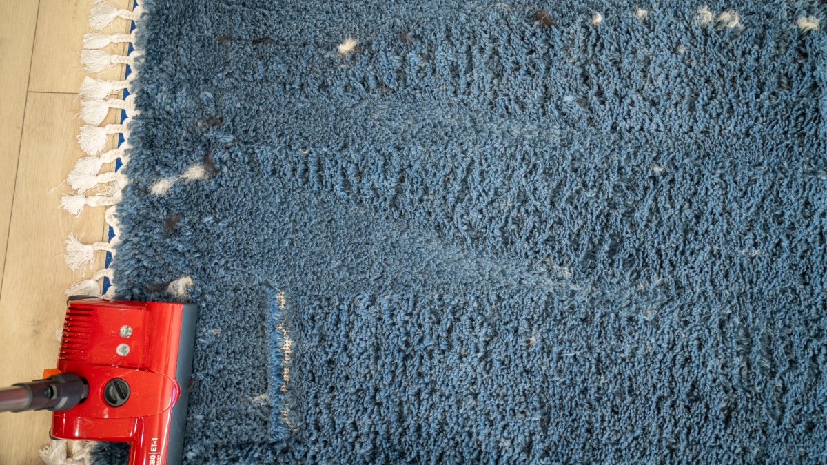 Sebo Airbelt K3 Premium