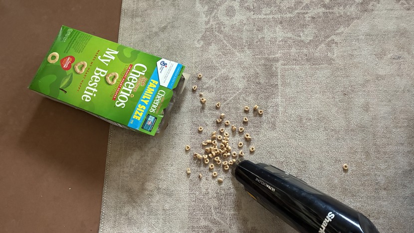 handheld vacuum - we made a lot of messes to find the limitations in these cleaning...