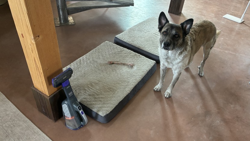 knowing what you're going to need your vacuum for will help make the...