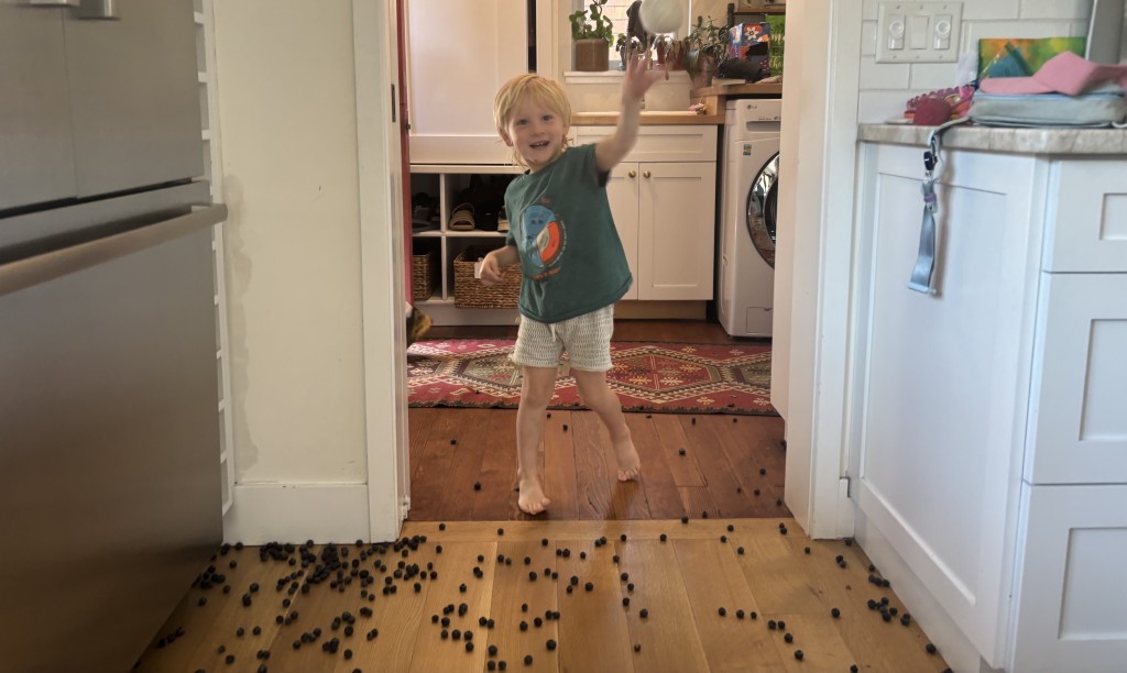 handheld vacuum - no mess is too big or small for our selection of vacuums.