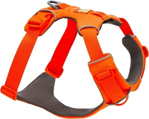 dog harness