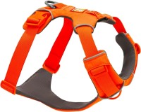 dog harness