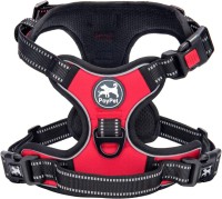 dog harness