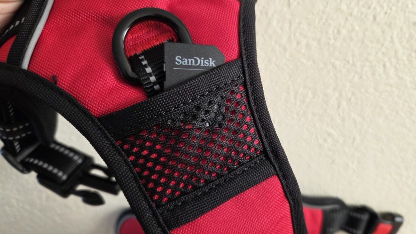 the poypet no-pull includes a handle, as well as reflective webbing...