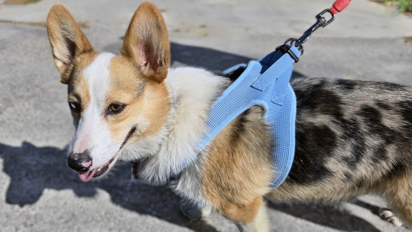 the voyager step-in air's flexible material is breathable and...