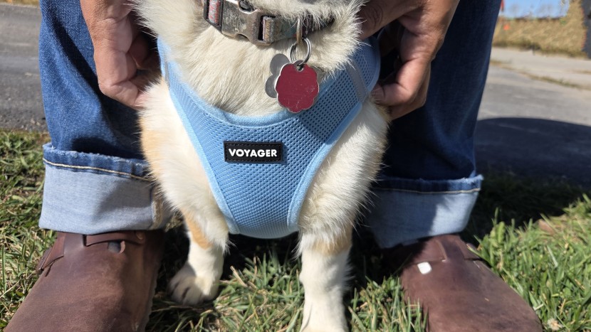 the voyager step-in air's flexible material is breathable and...