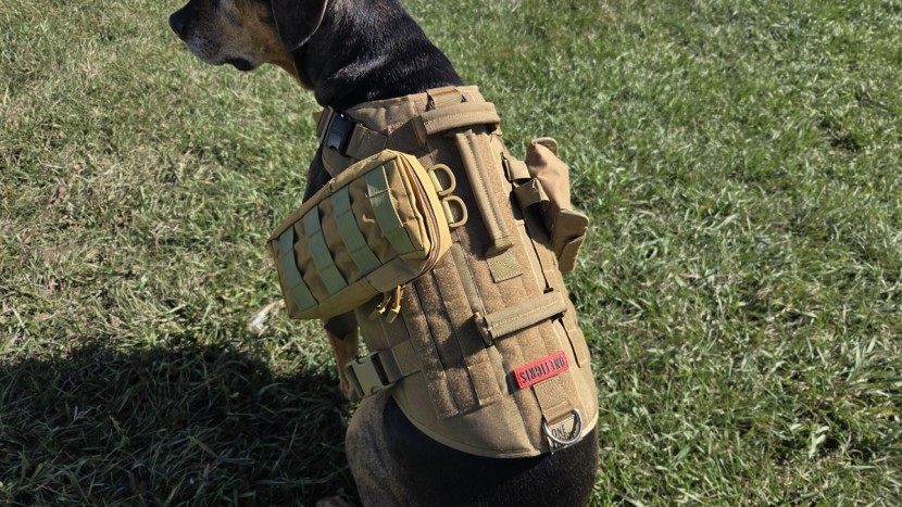 cora test fitting an emergency kit, snacks, and shot shells, to get...