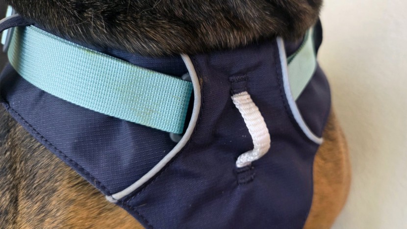 the ruffwear flag line uses a no-pull loop instead of a ring. while...