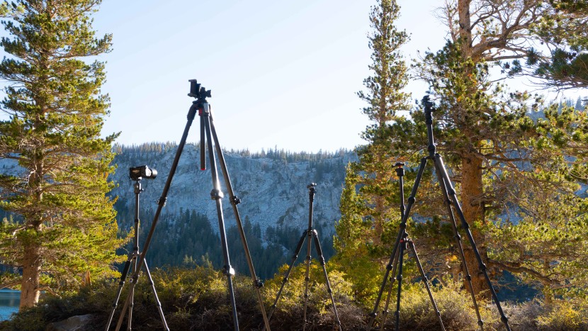 tripod - it's crucial that you get a tripod that can support your camera...