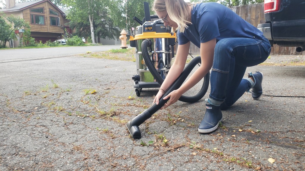 vacmaster beast 14-gallon - the vacmaster beast is great for outdoor use.