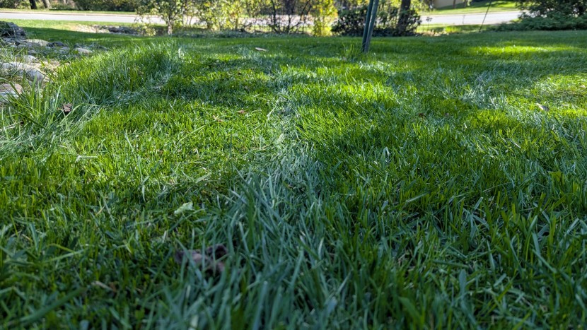 how well each mower actually mows is one of the most important part...