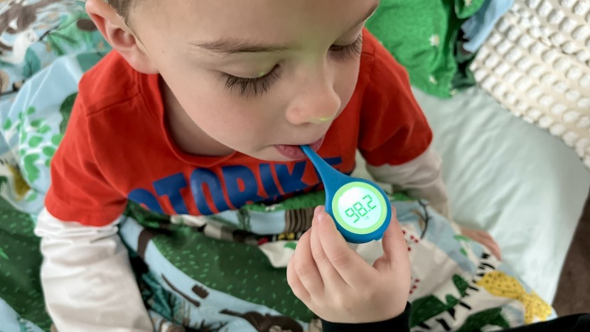 thermometer - stick thermometers are affordable and reliable, but slow and invasive.