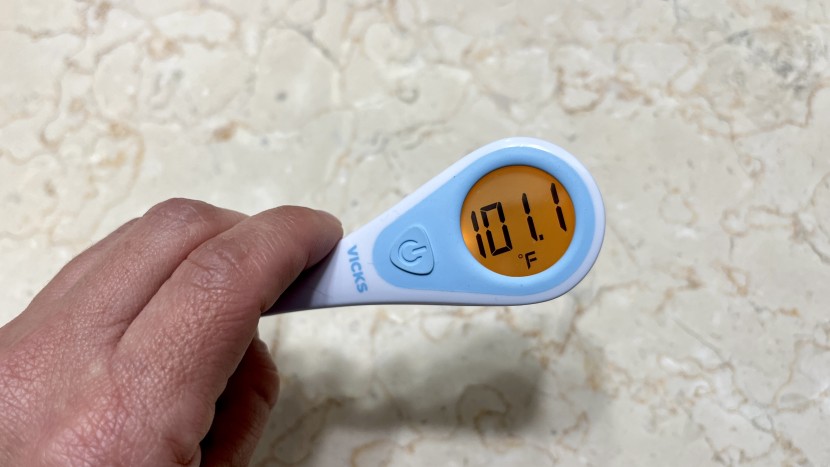 vicks speedread - the large, crisp display and fever indicator are easy to read