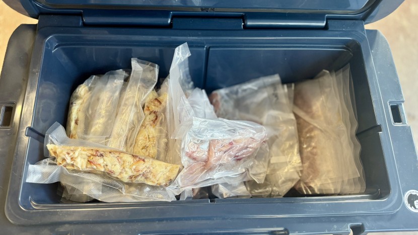 vacuum sealer - sara vacuum sealed her summer seafood haul using these vacuum sealers.