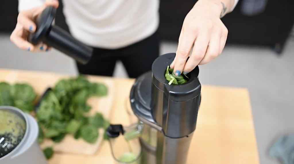 NutriBullet Slow Juicer, Slow Masticating Juicer Machine, Easy to Clean,  Quiet Motor - Dirhami - درهمي