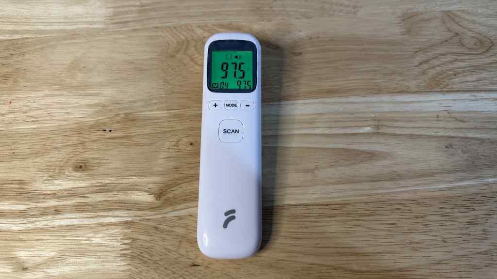 The 4 Best Thermometers of 2024