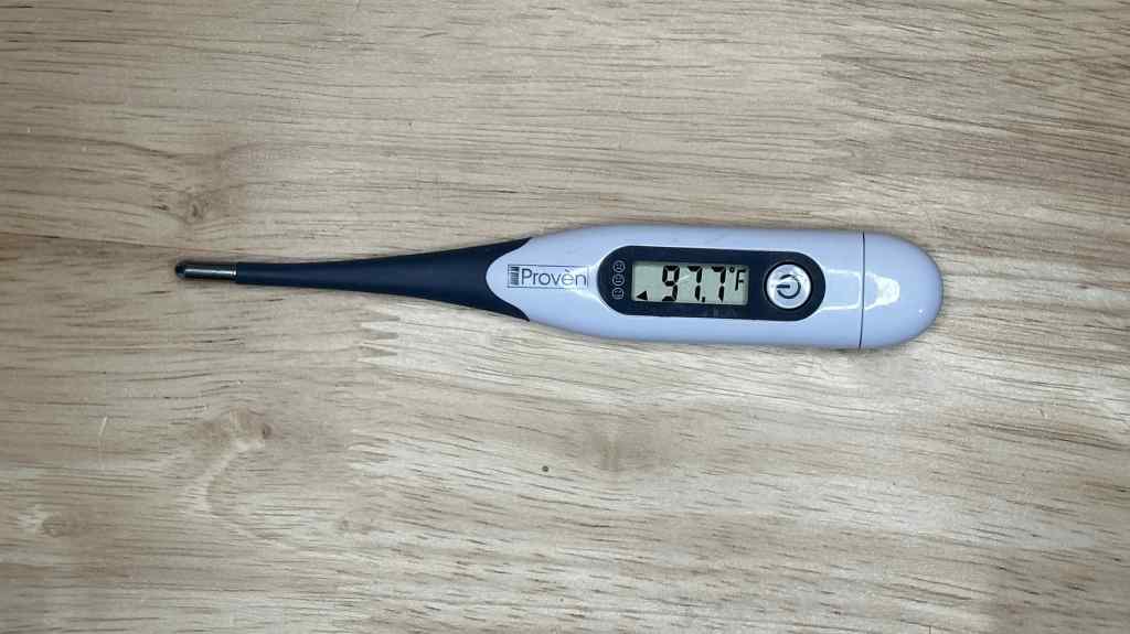 The Best Inexpensive Digital Thermometers of 2024